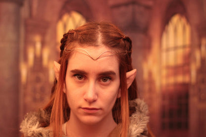 Wood Elf Silicone ears