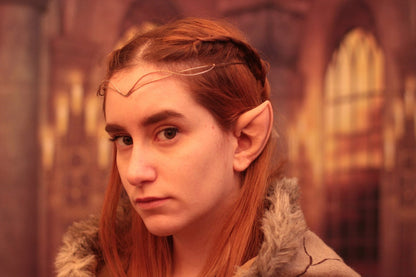 Wood Elf Silicone ears